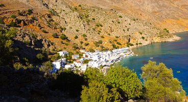 Wild Crete