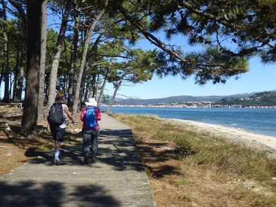 Female walkers moving along wooden decking pathway with pine trees overhead and coastline close by, Portugal