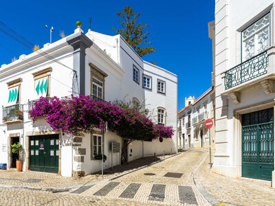 White buildings with purple flowers growing on them in the streets of Tavira, Algarve, Portugal