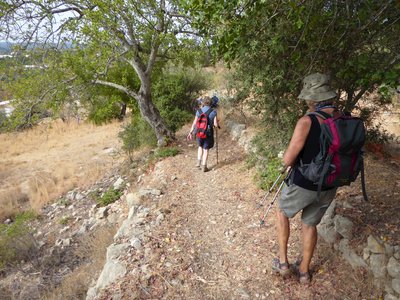 Female walkers descending footpath with trees growing either side, Algarve, Portugal