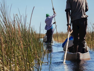 People in canoes moving down Okavango river with tall reeds on both sides, Okanvango delta, Botswana