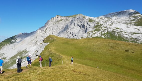 Ramble Worldwide walking group on green hill pausing to look at white rock mountain in Switzerland