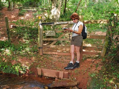 Lady Hiker leaning on a fence in a woodland glade reading a map