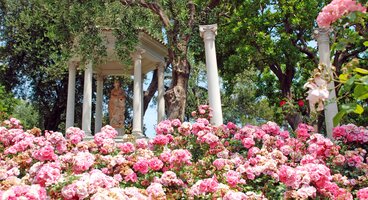 Gardens Of The French Riviera