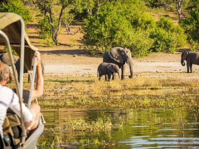 Tourists watching a small group of elephants at watering hole from afar in vehicle while on safari in Botswana, Africa