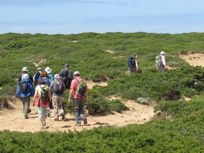 Group ascending meandering sandy path amidst green shrubs, Cape St Vincent, Algarve, Portugal