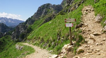 Mountain Trails of Trentino