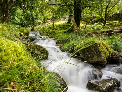  stream near New Bridge in Borrowdale Valley, Lake District, England