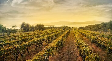 Wine & Walking in La Rioja