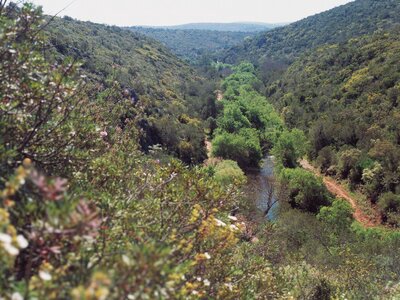 Benemola stream and valley in green landscape, Algarve, Portugal
