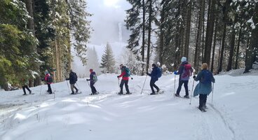 Trentino Winter Wonderland