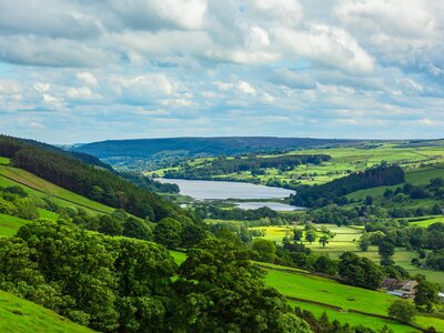 Gouthwaite Reservoir, Nidderdale in Summertime with lush green fields, forests and livestock, Yorkshire Dales