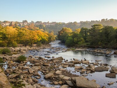 The River Swale with autumn foliage and houses of Richmond in background, North Yorkshire