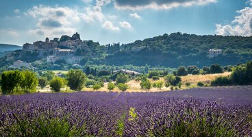 Postcards from Provence