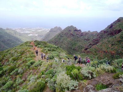 Group of walkers traversing down dirt path on mountain ridge with small green bushes growing either side amidst mountainous terrain, Tenerife, Spain
