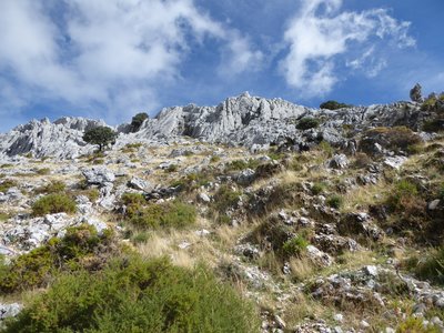 Mountainous peak covered in tall dry grass, green shrubs, and rocks, viewed from bottom of walking path in Sierra de Grazalema, Spain